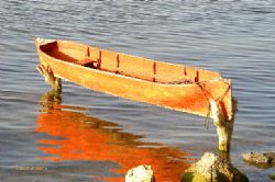 The light was just right for this canoe in Punta Gorda, R... by Shawn Jackson 